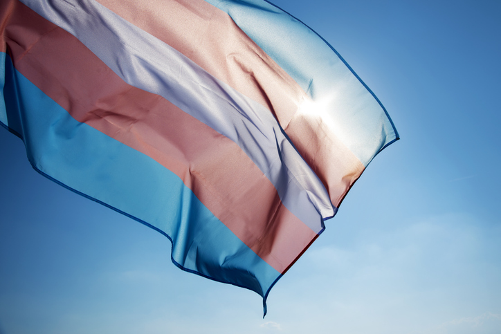 transgender flag